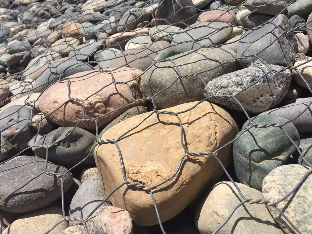 �ӵ��o(h��)���o(h��)���������e�W(w��ng)�ļ��g(sh��)����