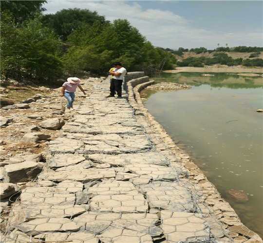 ɽ���\��ˮ�쑪���ӹ���������