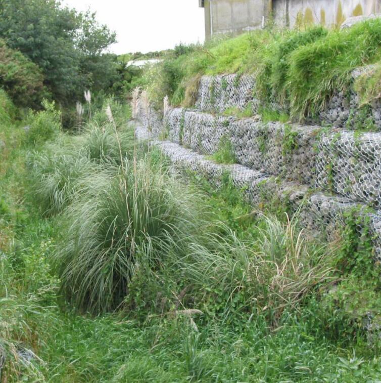 ���Z�o�|����