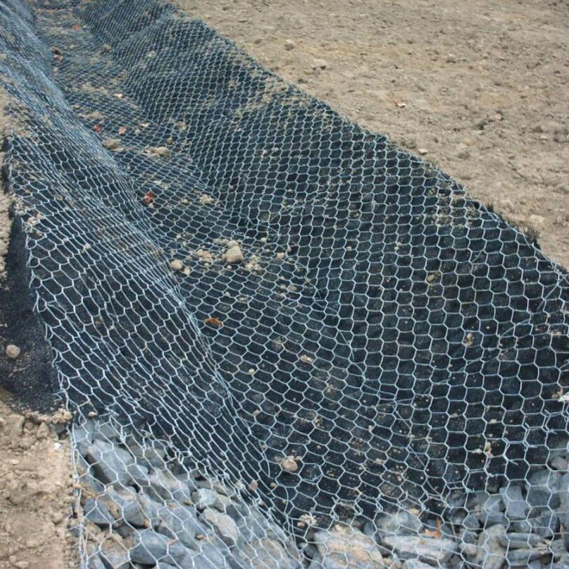 �o�|�W(w��ng)��