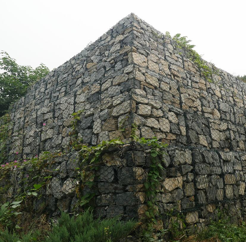 ���e�W(w��ng)����