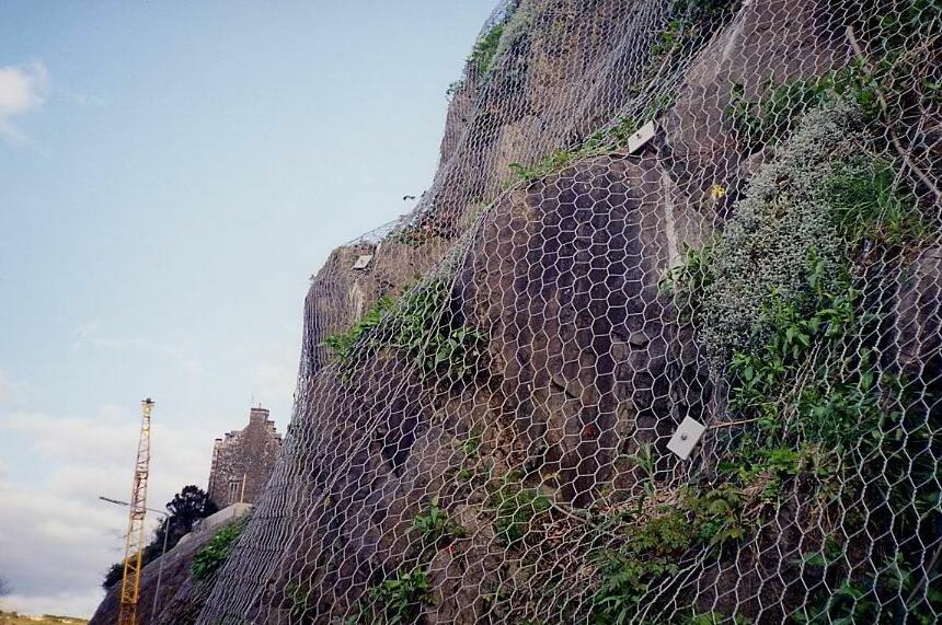 ߅�·��o�WҎ��