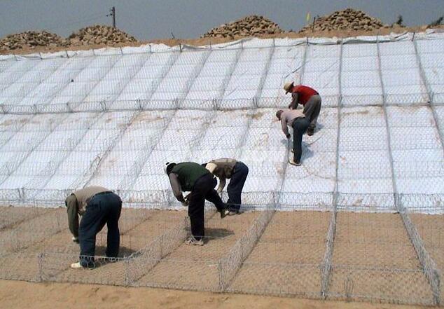 ���e�W�|����