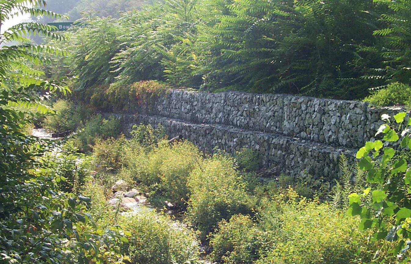 �p�g�ϸ��e�W(w��ng)ʯ�\�o(h��)��Ҏ(gu��)����̖(h��o)