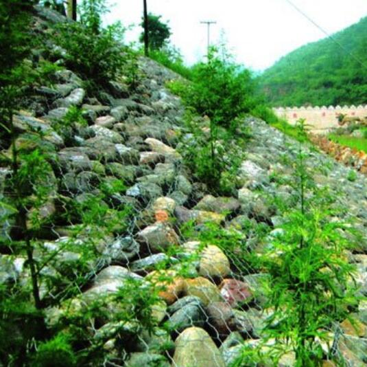 ���B(t��i)���eʯ�\�o(h��)��Ҏ(gu��)��