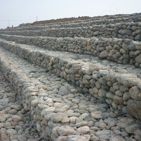 �p�g�Ϲ��e�\