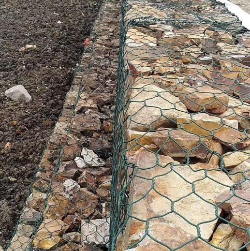 �p�g���U�z�\