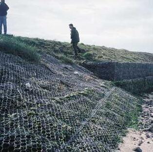 ���e�W(w��ng)�o(h��)�S��15531868633