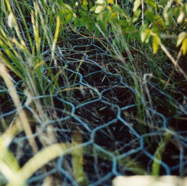 Ϳ��peʯ�\�W��15531868633