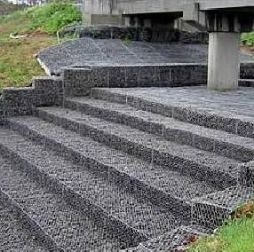 ���e���B�o��