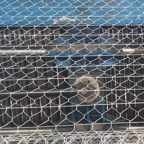 䓽z·��ӽ�W�S��