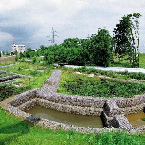 ʯ�\�W(w��ng)�G��