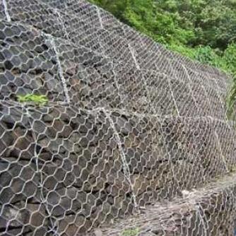 �F�z�\����15531868633