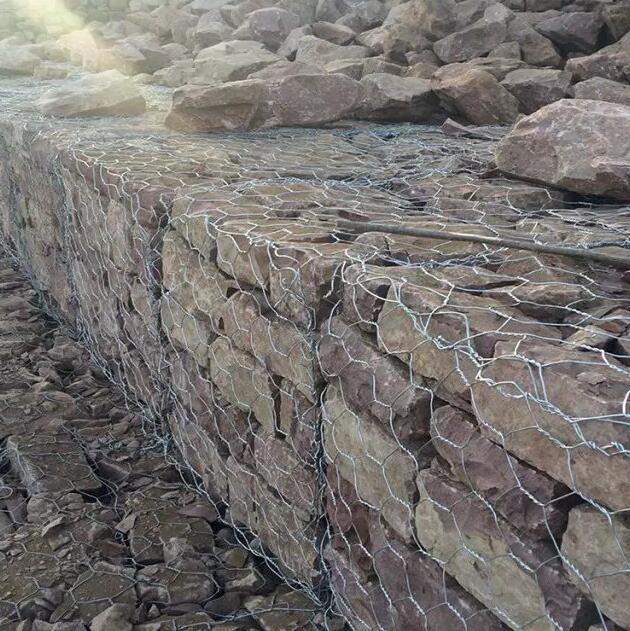 ���B�U�z�\