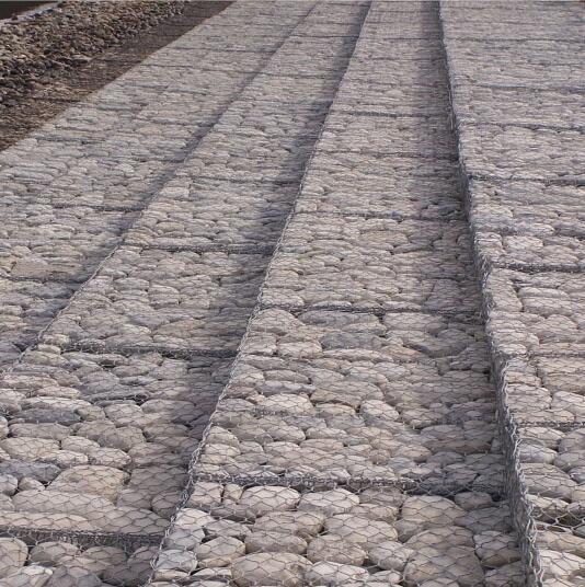 ���e�\�W(w��ng)��W(w��ng)�|