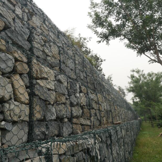 �ӽ���e������