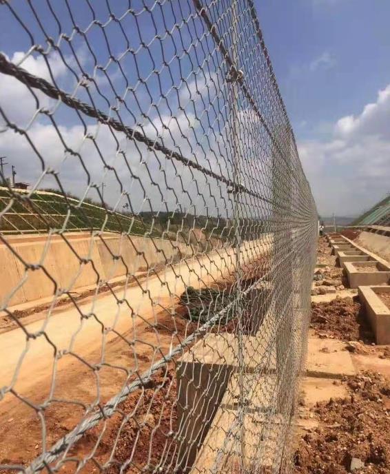 ���e�W�S15531868633