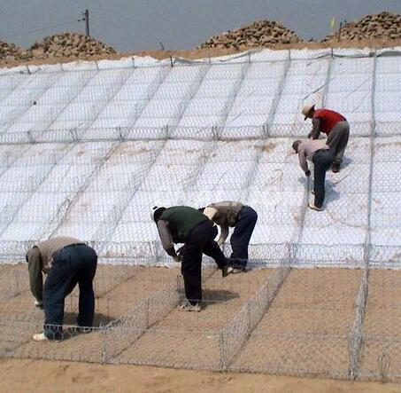 ���eʯ�\�W15531868633