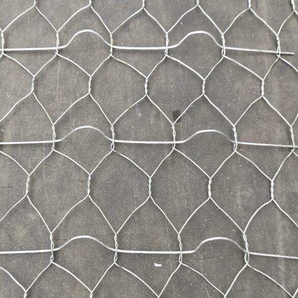 ·��ӽ�W(w��ng)�S(ch��ng)��15531868633